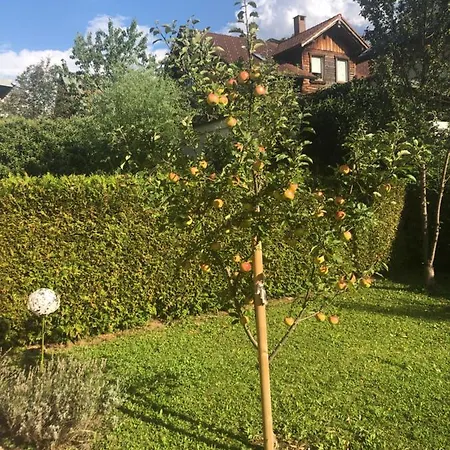 公寓 Auszeit Im Allgaeu