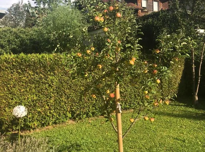 Appartamento Auszeit Im Allgaeu